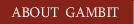 About GAMBIT
